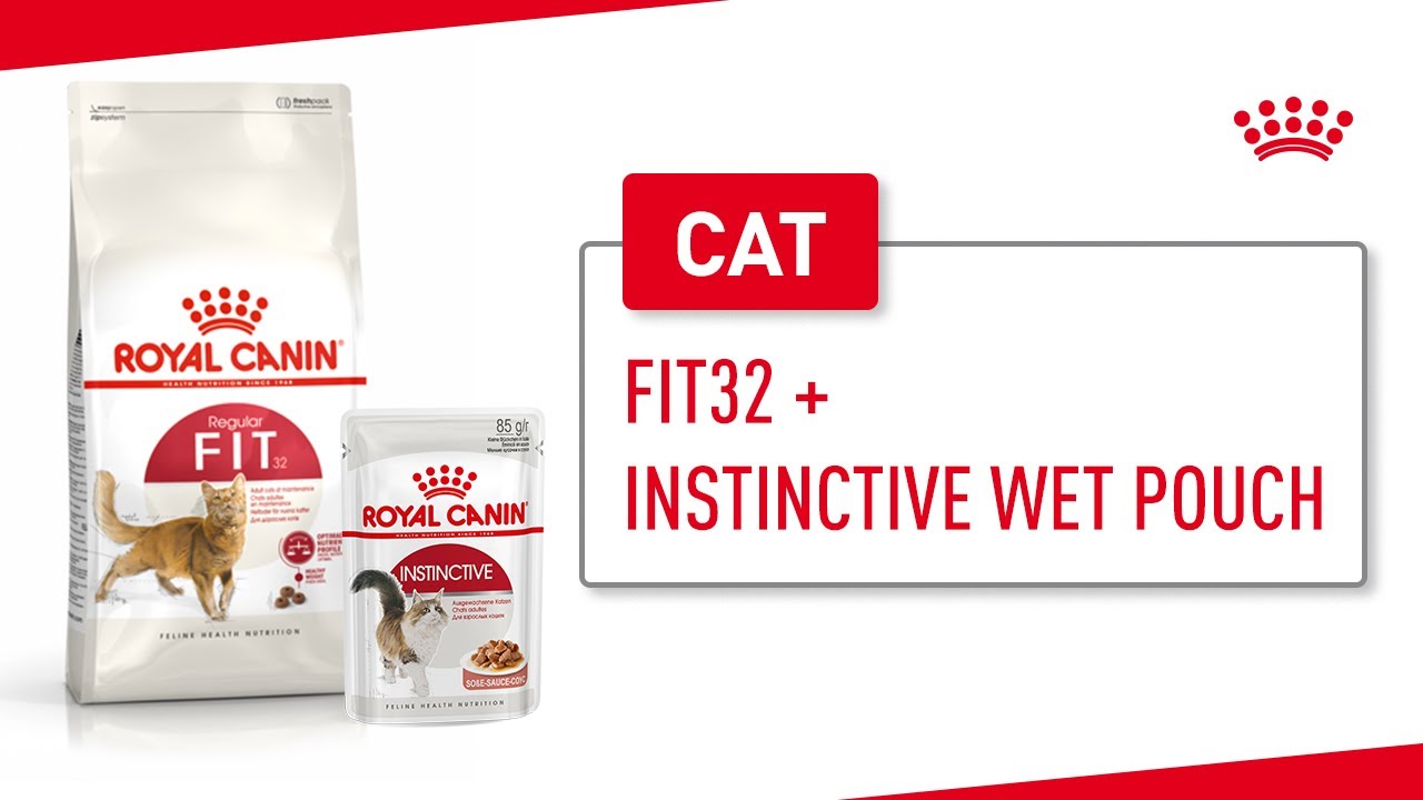 Fit32 + Instinctive Wet Pouch