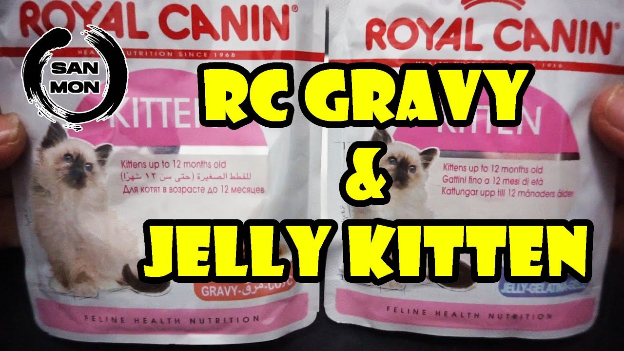 Review Wetfood Royal Canin Kitten Gravy & Jelly