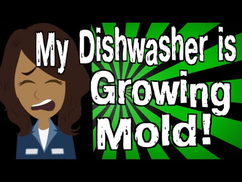 My Dishwasher is Growing Mold!