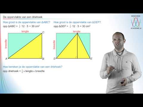 Driehoek - de oppervlakte van een driehoek - WiskundeAcademie